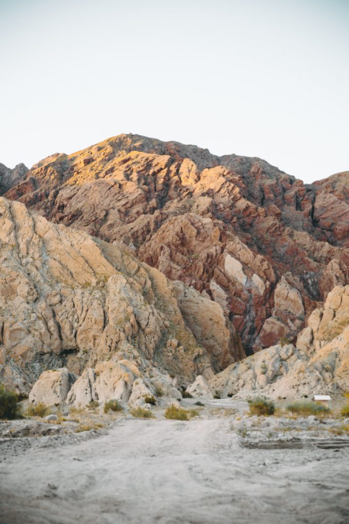 Coachella Valley Preserve