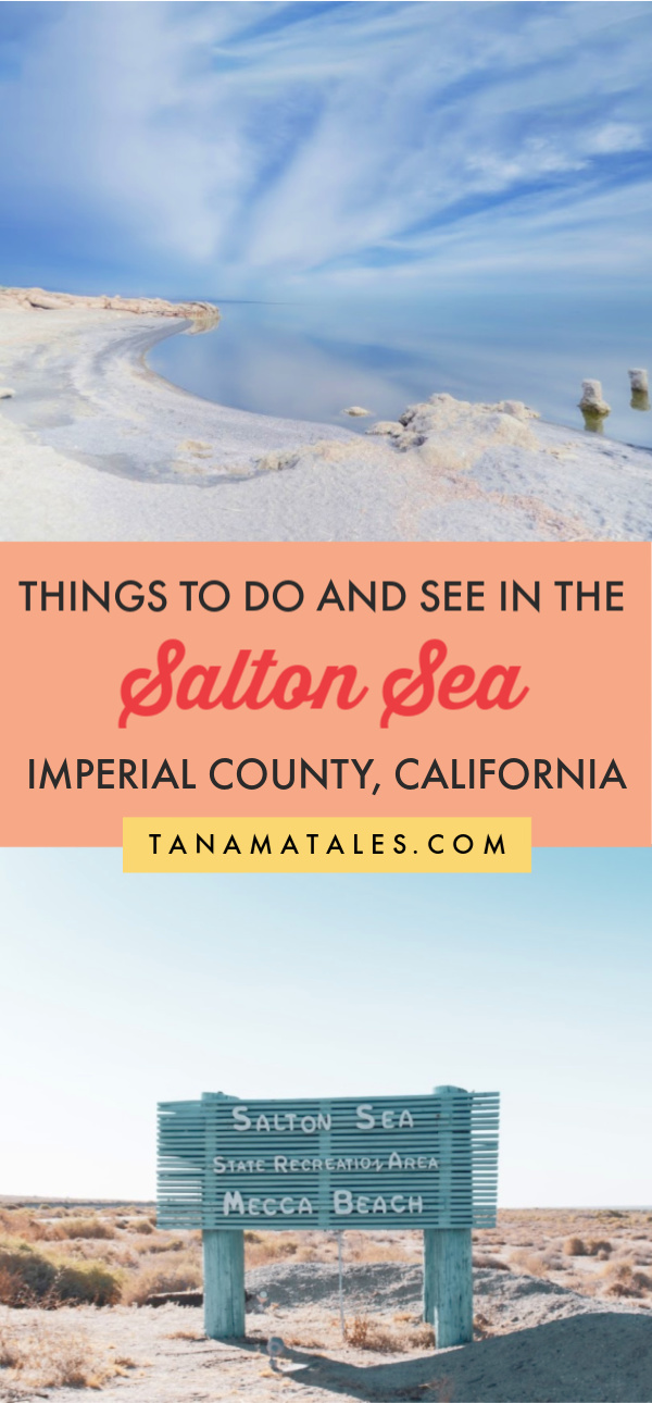 Things to Do in the Salton Sea, California Tanama Tales