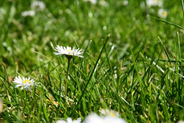 12 Tips For Turning Your Dreams Into Reality Tanama Tales