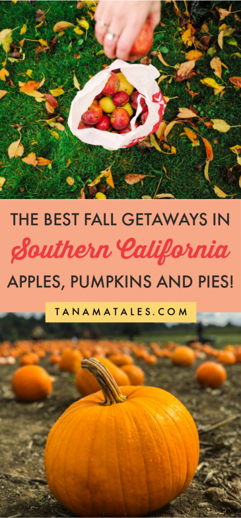 southern california fall trips