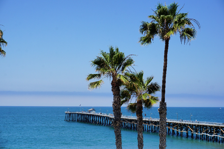 San Clemente Pier and Palm Trees