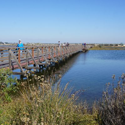 Bolsa Chica Ecological Reserve in Huntington Beach