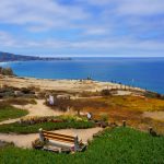 Easy Hikes in San Diego, California, View from Torrey Pines Gliderport