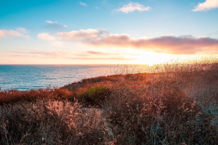 Fashion Island Corona Del Mar Loop Walk Trail - Newport Beach