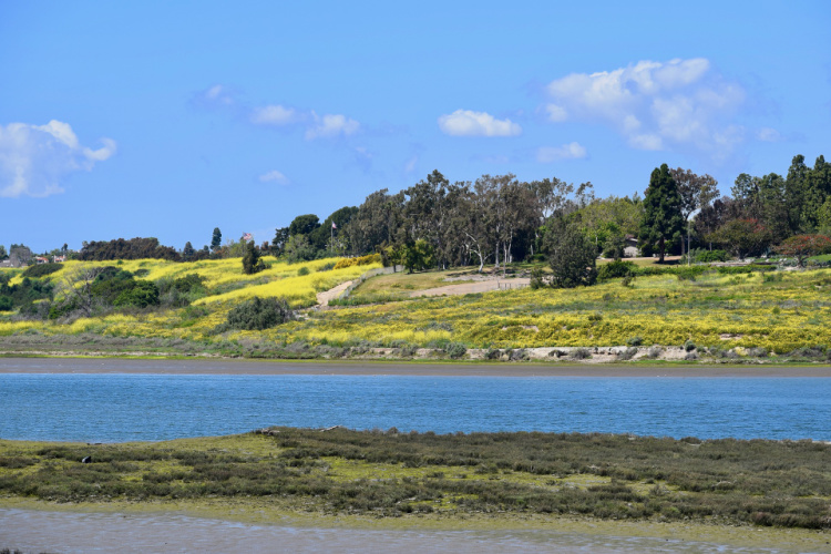 Fashion Island Corona Del Mar Loop Walk Trail - Newport Beach, California,  USA