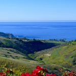 Newport Beach Hikes and Trails, Moro Canyon in Crystal Cove State Park