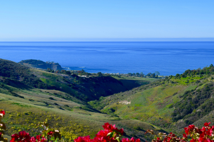 Walking Trail Maps  City of Newport Beach