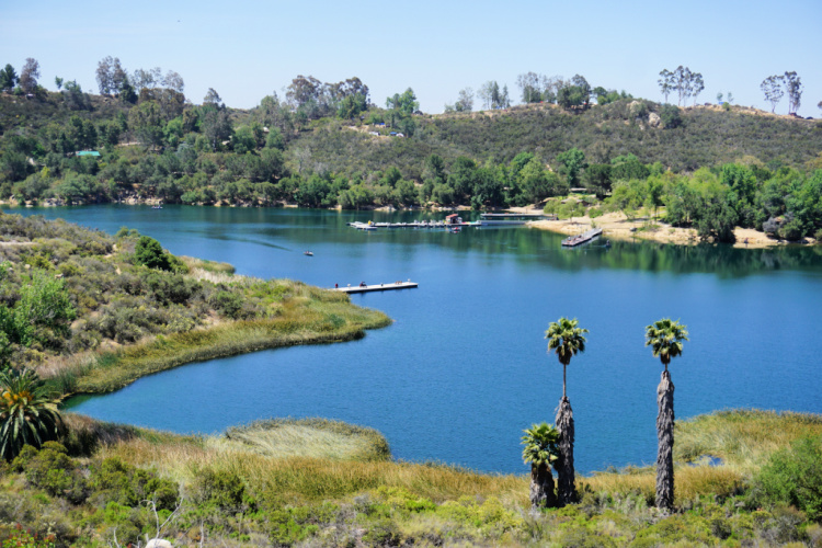 Lake Dixon in Escondido, Best Lakes for Camping in California