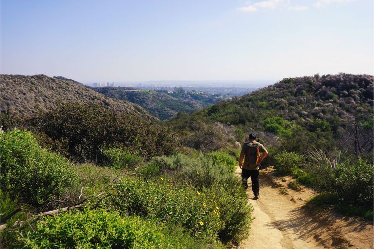 Temescal Gateway Park Hiking Guide, Los Angeles