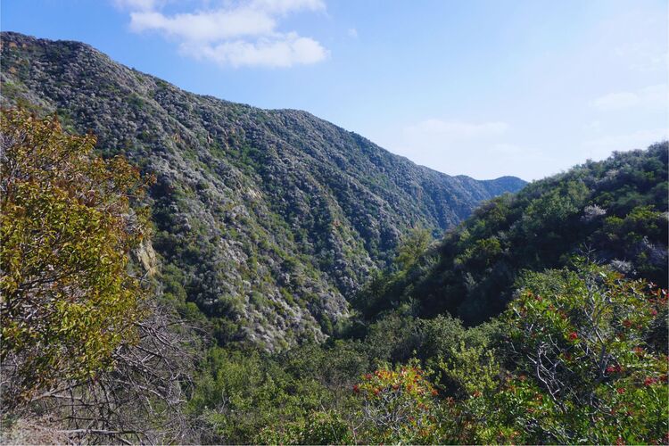 Temescal Canyon Trails, Los Angeles